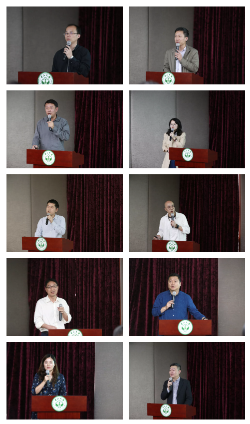 各区负责代表汇报