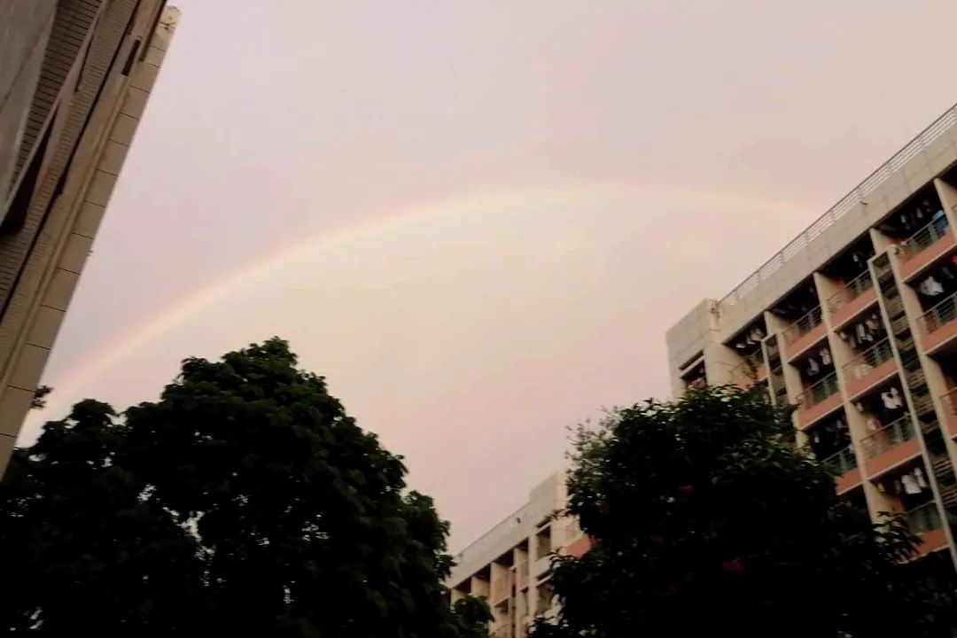 东校园上空雨后彩虹